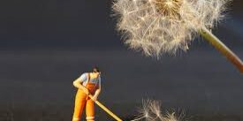 8 Reasons Why We’re Not Just Your Typical Cleaning Company